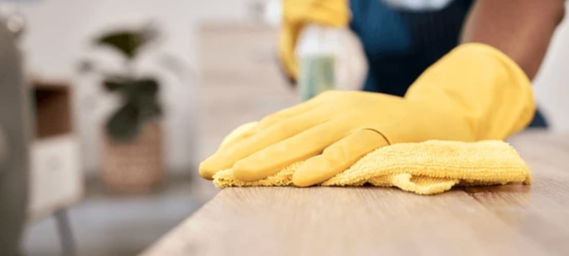 Professional cleaning service